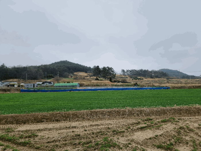 물건 사진 19
