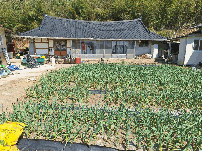 물건 사진 15