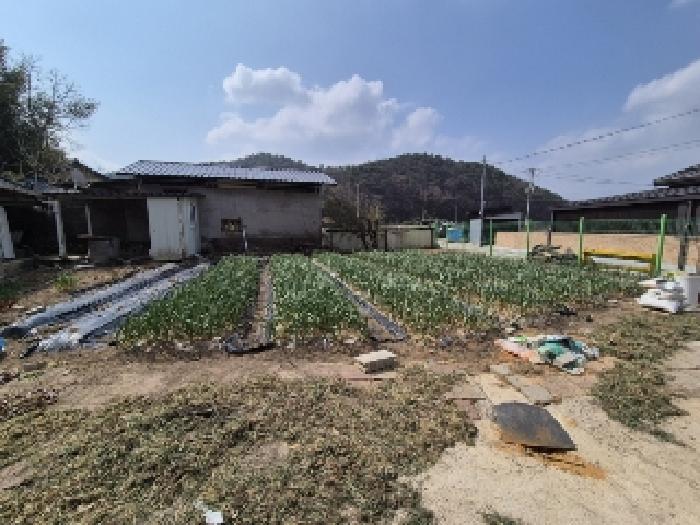 물건 사진 7