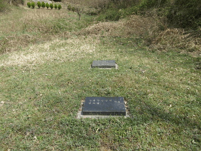 물건 사진 19