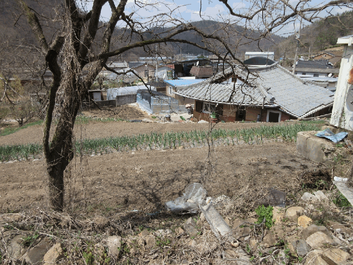 물건 사진 20