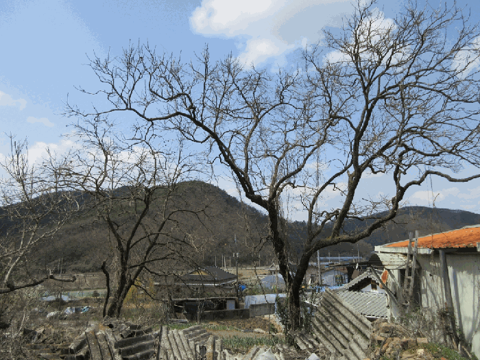 물건 사진 31