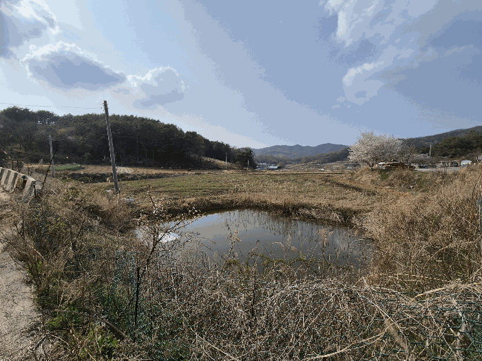 물건 사진 27