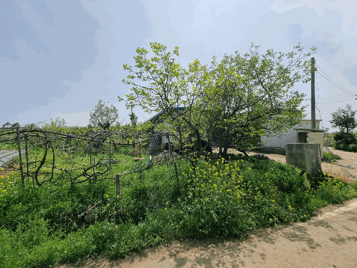 물건 사진 24