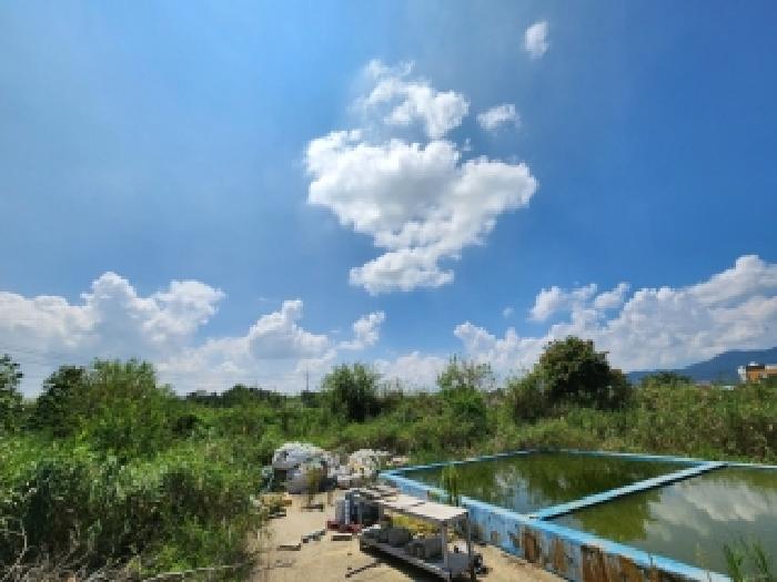 물건 사진 31