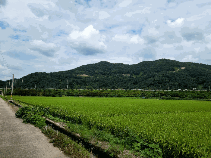 물건 사진 20