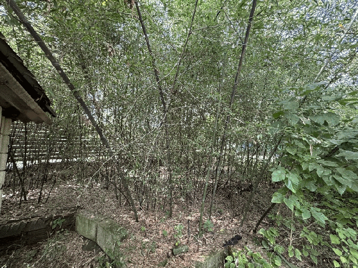 물건 사진 24