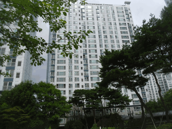물건 사진 6