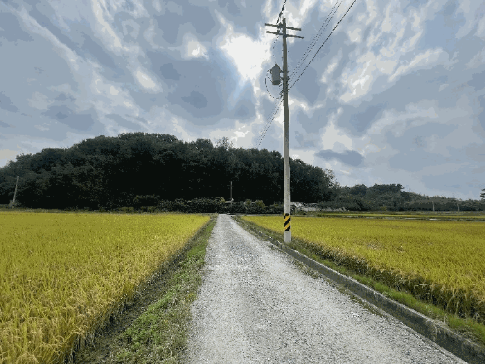 물건 사진 14