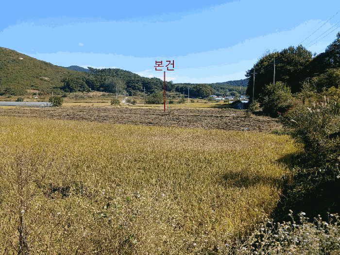 물건 사진 16