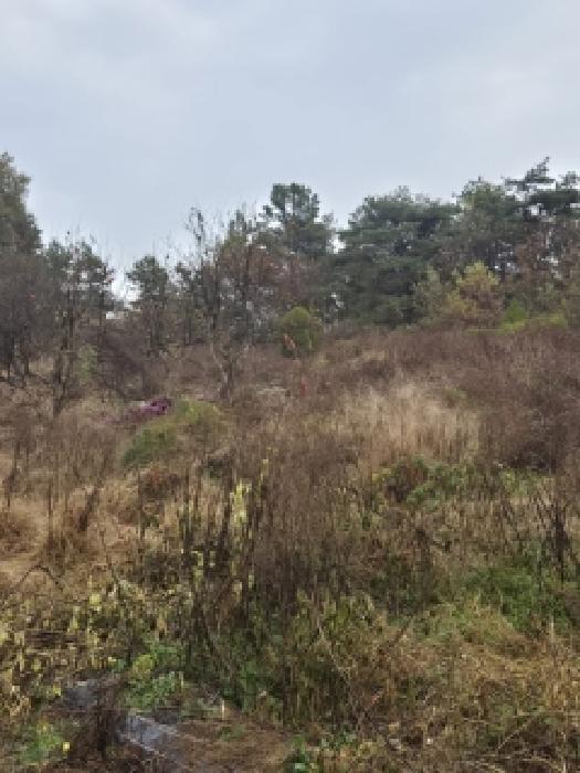 물건 사진 23
