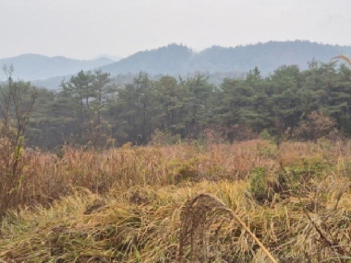 물건 사진 4