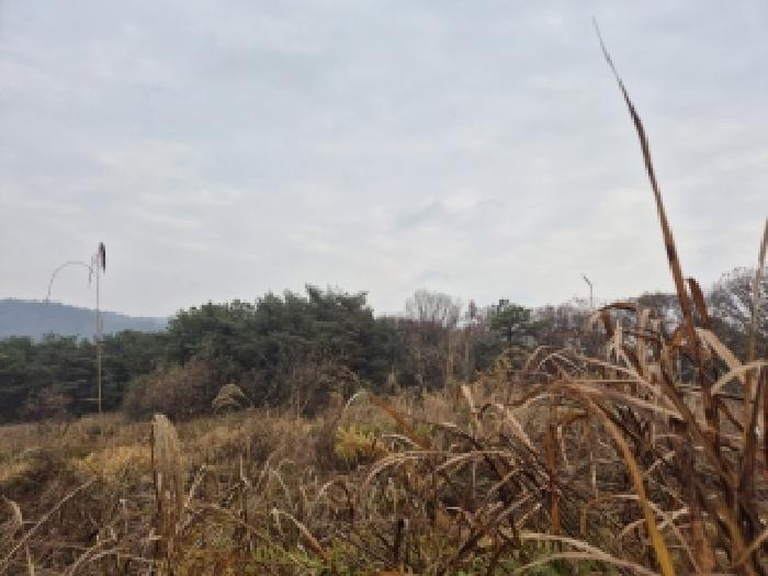 물건 사진 33