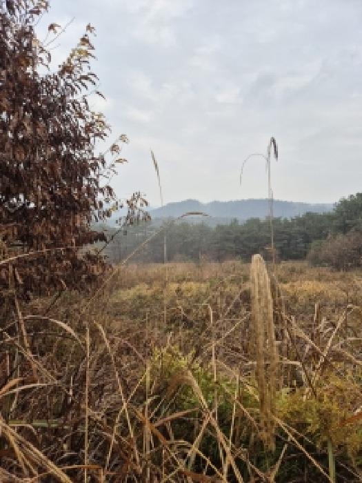 물건 사진 34