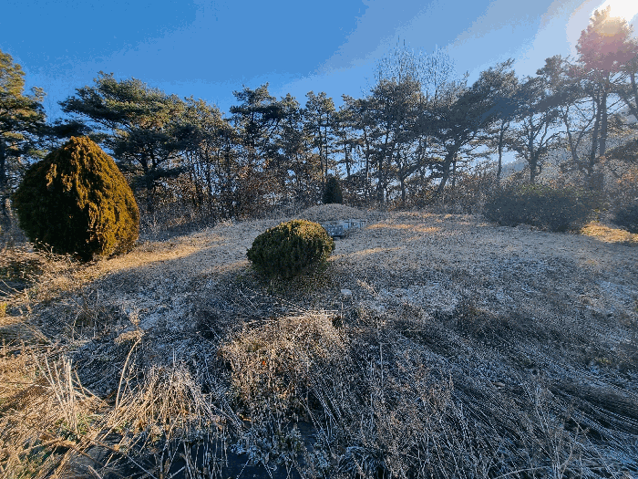 물건 사진 59