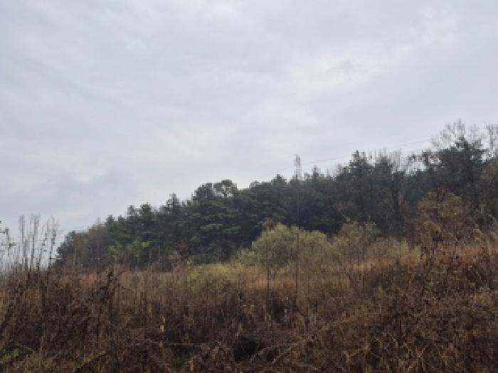 물건 사진 9