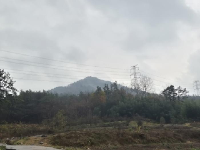 물건 사진 12