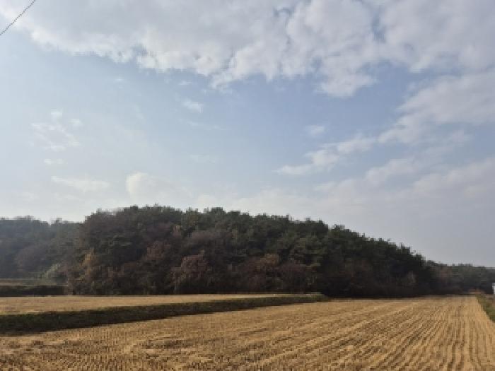 물건 사진 19