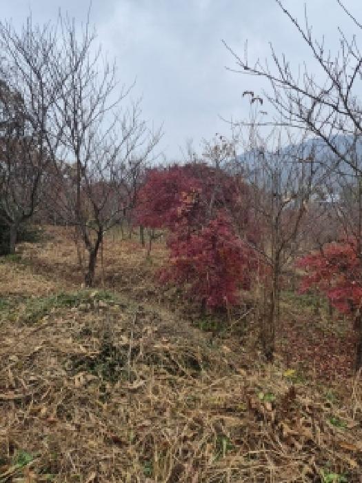 물건 사진 36