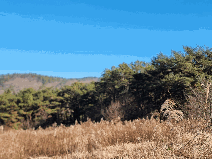 물건 사진 52