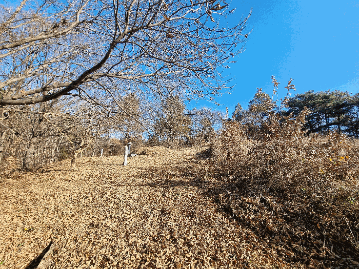물건 사진 53