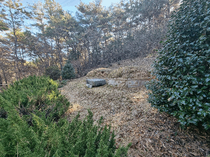 물건 사진 55