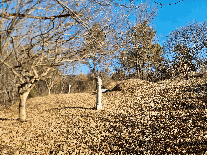 물건 사진 65