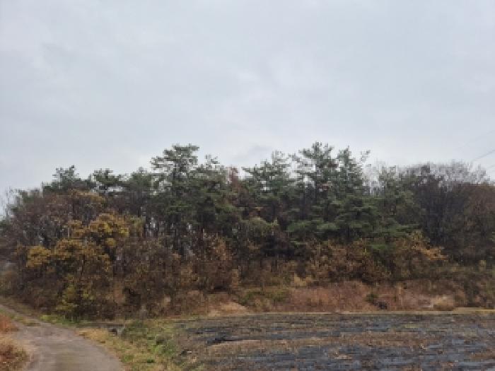 물건 사진 10