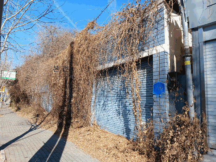물건 사진 8