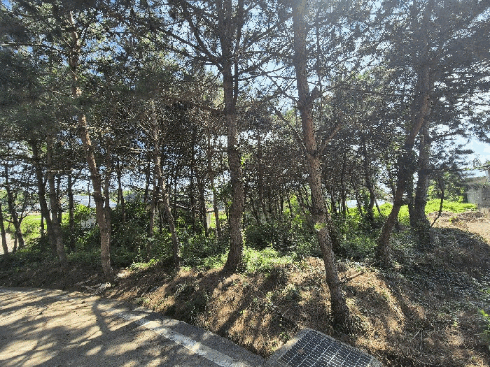 물건 사진 19