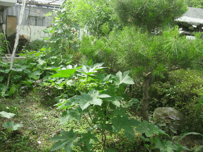 물건 사진 14