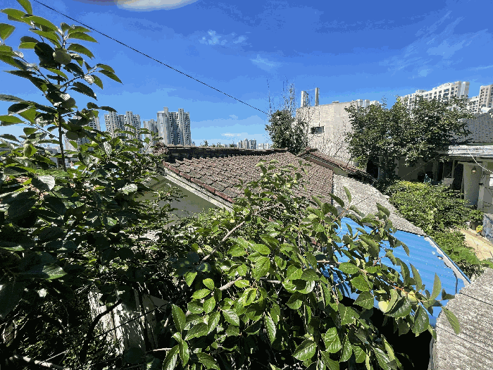 물건 사진 18