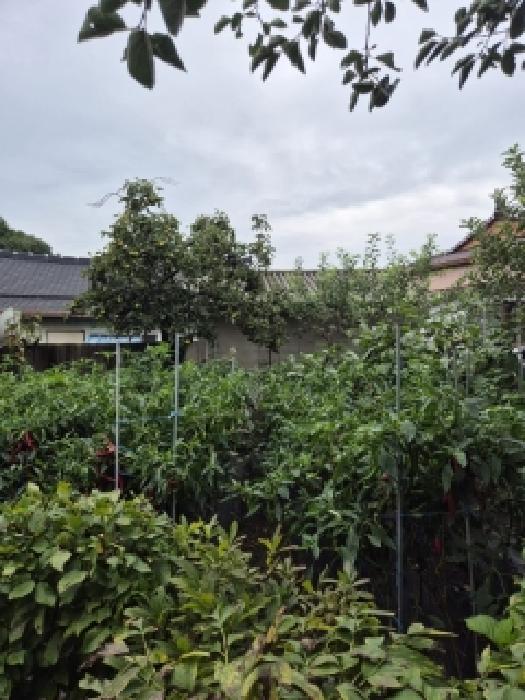 물건 사진 10
