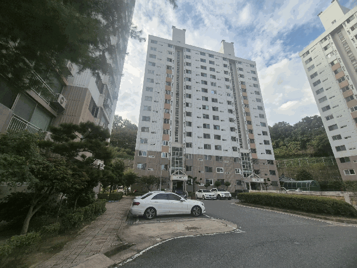 물건 사진 6