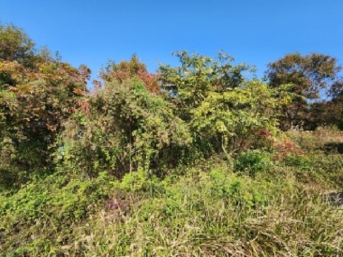 물건 사진 4