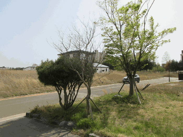 물건 사진 11