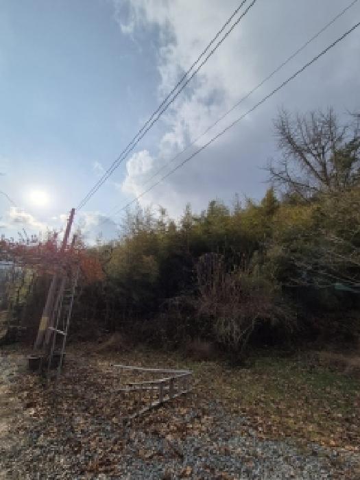 물건 사진 2