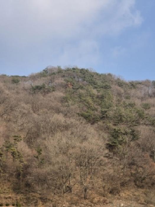 물건 사진 14
