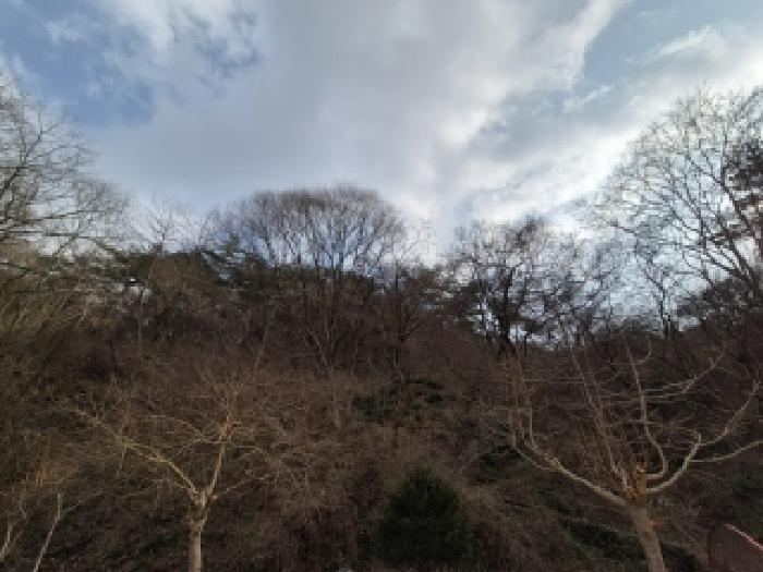 물건 사진 15