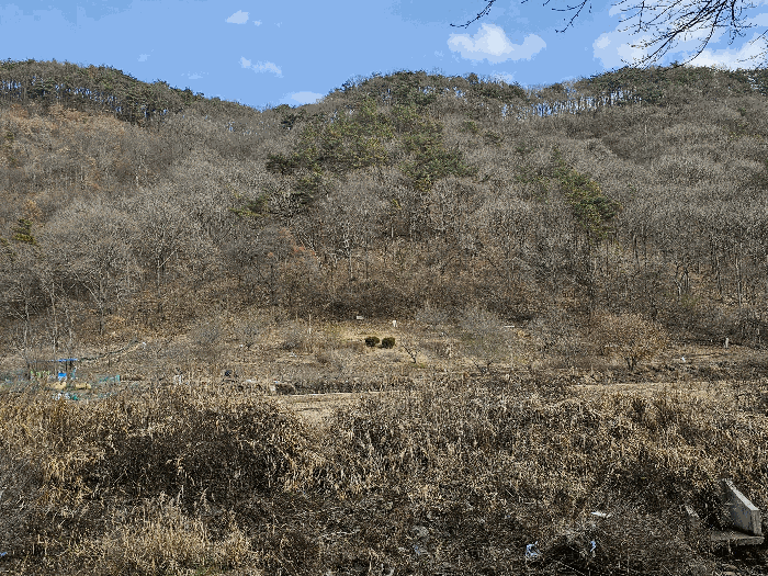 물건 사진 27