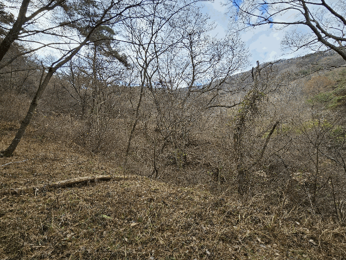 물건 사진 35