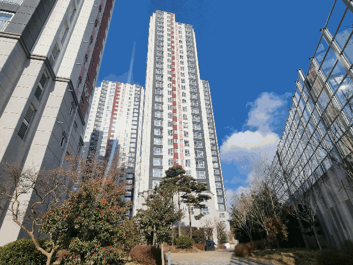 물건 사진 6