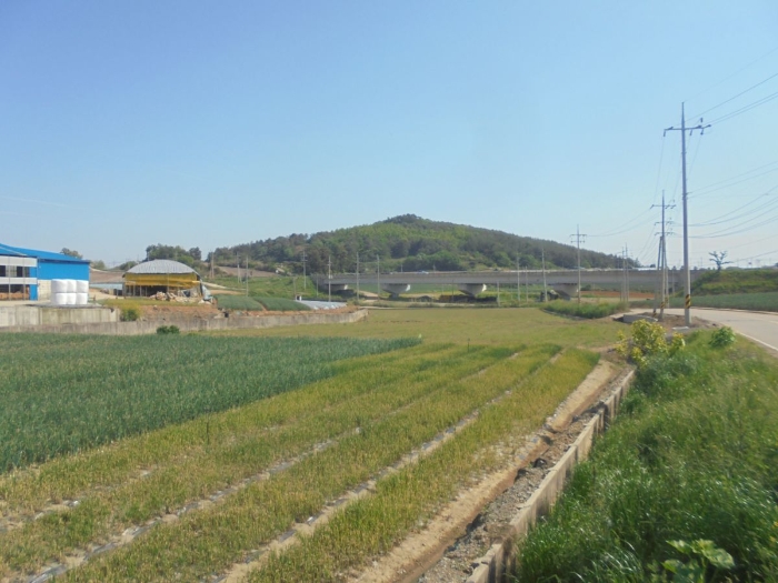 물건 사진 14
