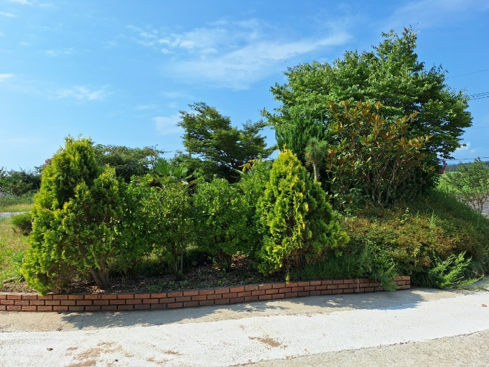 물건 사진 27