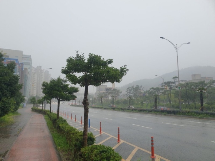물건 사진 12