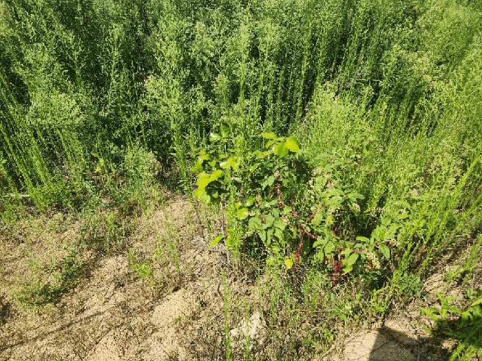 물건 사진 19