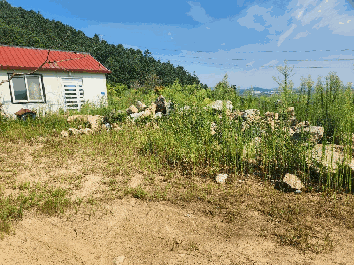 물건 사진 25