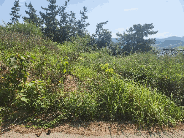 물건 사진 28