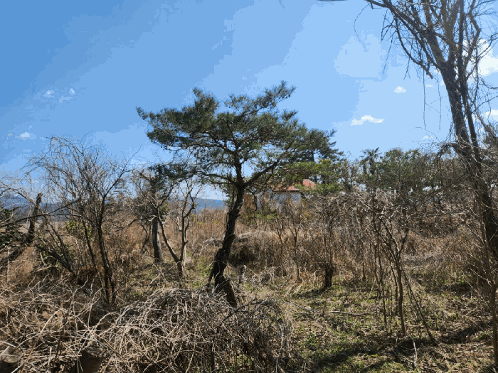 물건 사진 32