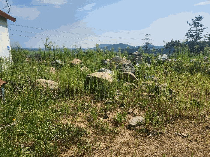 물건 사진 35
